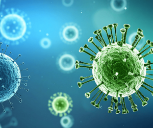 Waspada Virus Nipah 2026: Gejala, Cara Pencegahan, dan Situasi Terkini di Asia